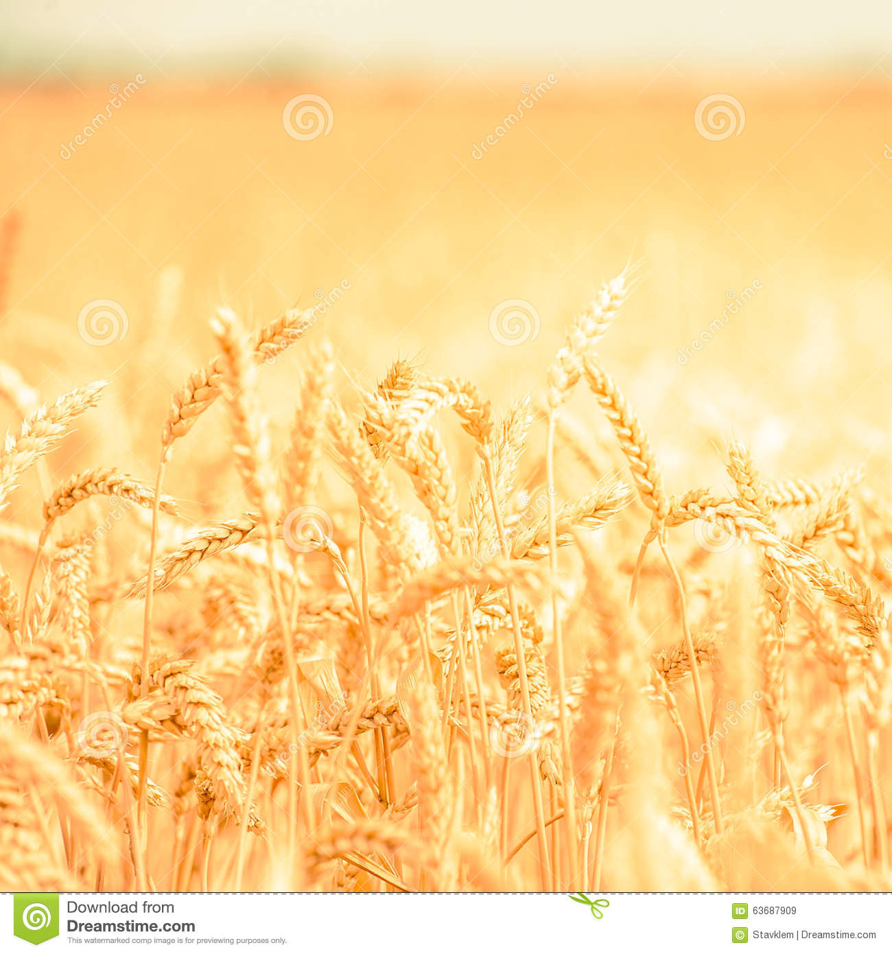 杨烁离婚协议曝光净身出户?遭律师打脸协议无效“b体育”(图2) 必一