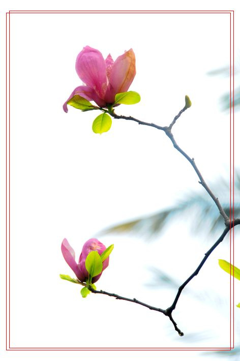 “Bsports必一体育”快乐大本营杨洋是哪一期 电影急先锋这一期什么时候开播(图2) b体育