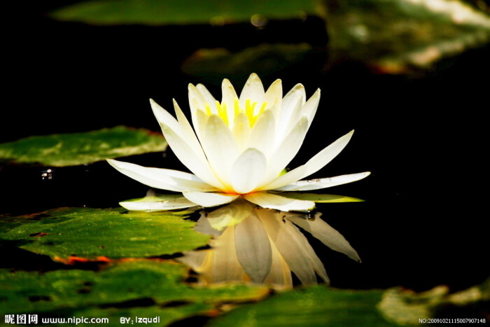 必一-下一个信小呆?《剑网3》大唐锦鲤今日诞生(图2) 必一