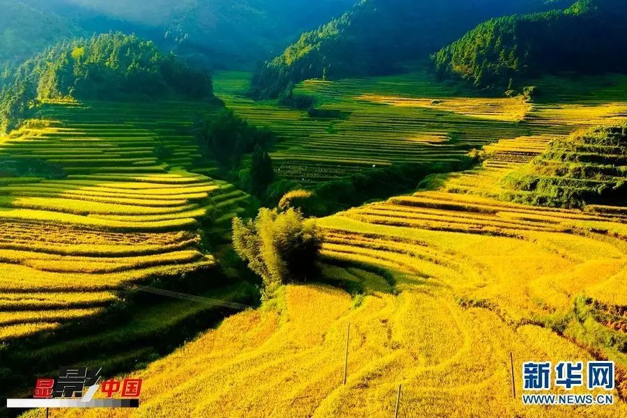 【必一】幼儿园各个区角设计大全(图1) Bsports必一体育