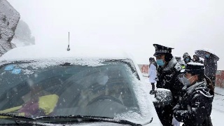 ‘Bsports必一体育’龙珠超112集免费哪里看?悟空贝吉塔或合体觉醒(图1) b体育