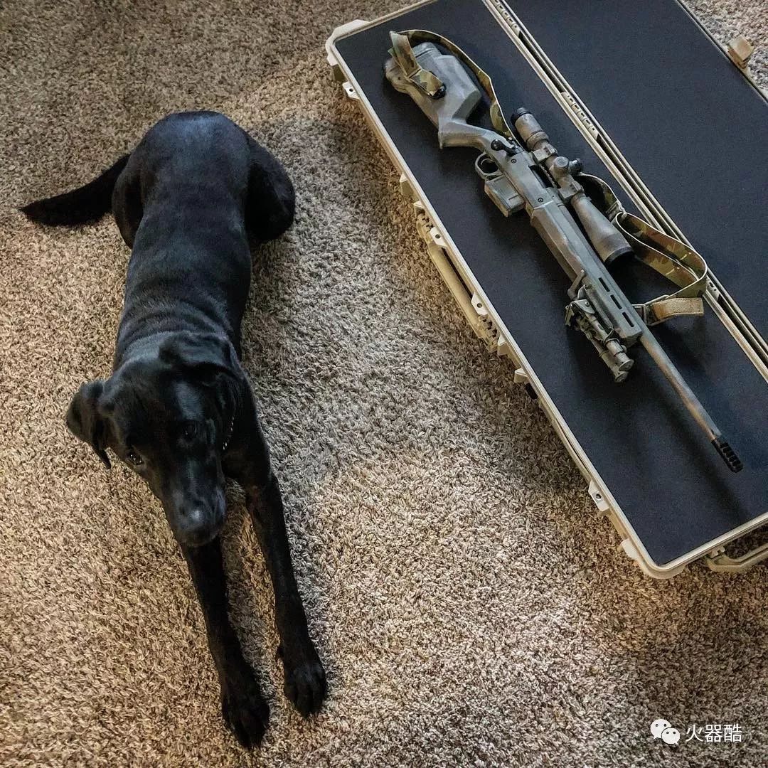 直击长江排污口排查:每人日均徒步数万步,确保污口一个不漏“b体育”(图4) b体育