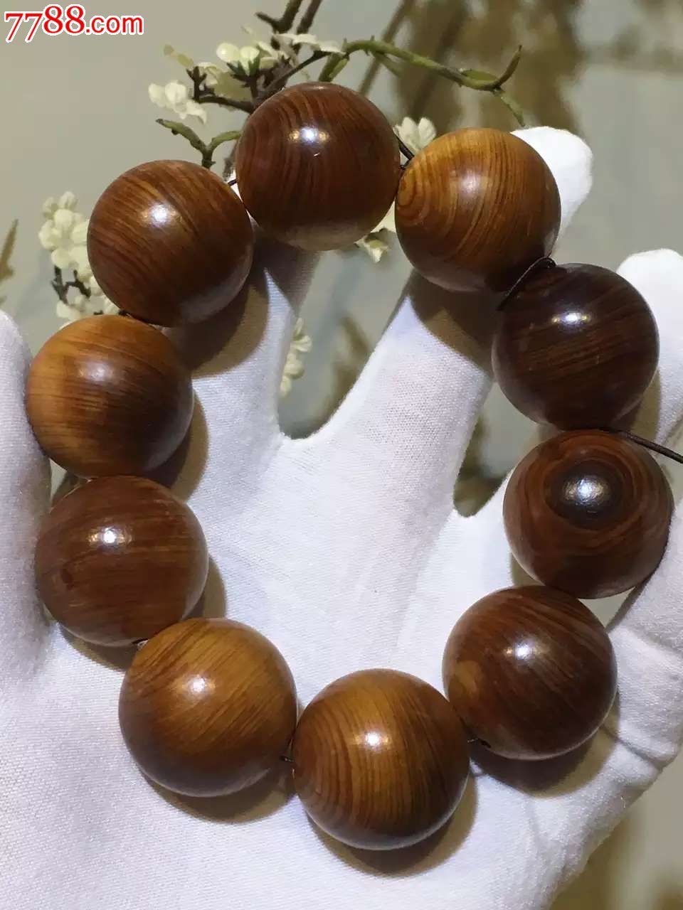 必一_韩正出席2019年世界环境日全球主场活动 宣读习近平主席贺信并发表主旨讲话(图1) Bsports必一体育