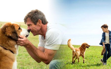 Bsports必一体育-生态环境部召开第八次纪检干部业务交流会(图2) Bsports必一体育