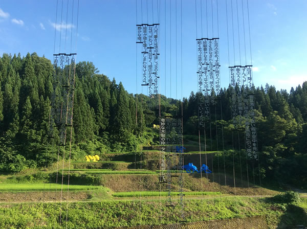 必一|习近平寄语上海:勇创国际一流城市管理水平(图2) 必一