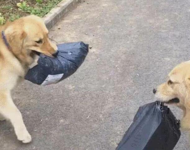 百万美元!厦门绿色物流城市建设再添助力【b体育】(图1) 必一