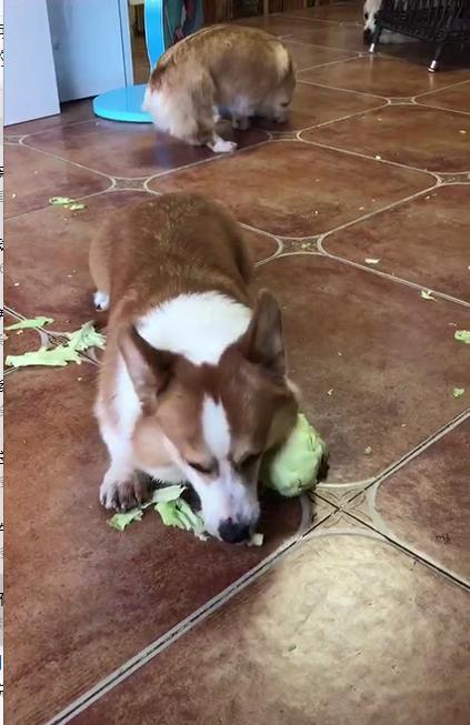 西安电子科技大学2015年高考录取结果查询系统入口:必一(图1) Bsports必一体育