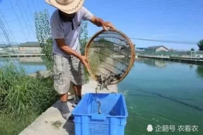 上海论坛2018绿色金融高峰圆桌会议观点集萃|必一(图2) Bsports必一体育