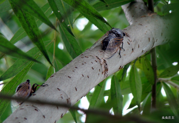 生态环境部发布6月和1-6月全国空气质量状况‘必一’(图3) Bsports必一体育