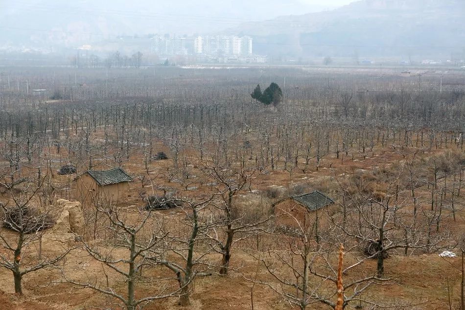 《银魂》漫画要完结了?官方宣布2019年6月17日大结局_Bsports必一体育(图1) Bsports必一体育