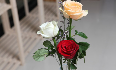 b体育_2017广东高考报名入口(图3) Bsports必一体育