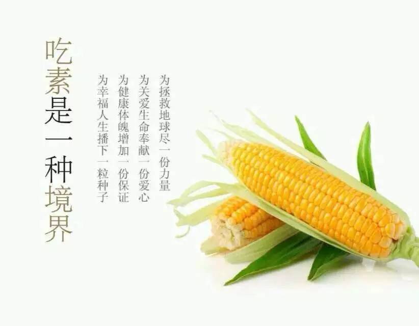 中国有嘻哈小鬼diss吴亦凡直播回放 小鬼为什么diss吴亦凡-b体育(图3) Bsports必一体育