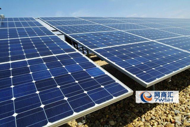 “Bsports必一体育”爱上一座城——中二班社会实践活动(图2) b体育