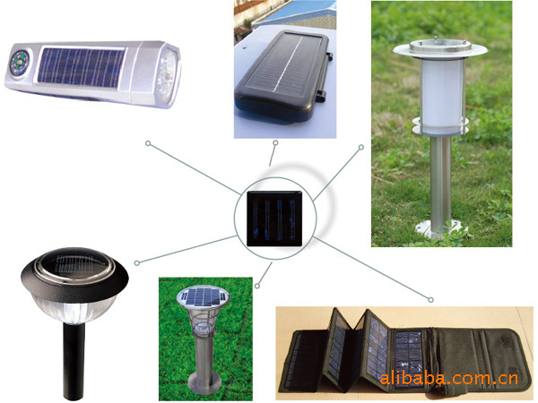 “Bsports必一体育”爱上一座城——中二班社会实践活动(图3) 必一