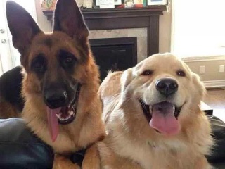 泰国严查环保,严控进口,7月1日开始MSK航运上调部分海运费用【b体育】(图3) Bsports必一体育