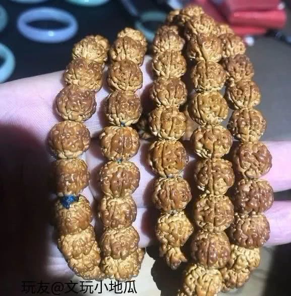 哈尔滨工业大学博士生导师王明新教授应邀来商丘师范学院讲学“Bsports必一体育”(图2) Bsports必一体育