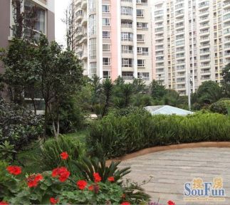 科技护航,野生动植物在赛罕乌拉自然保护区“安居乐业”:b体育(图3) Bsports必一体育