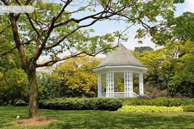 科技护航,野生动植物在赛罕乌拉自然保护区“安居乐业”:b体育(图4) Bsports必一体育