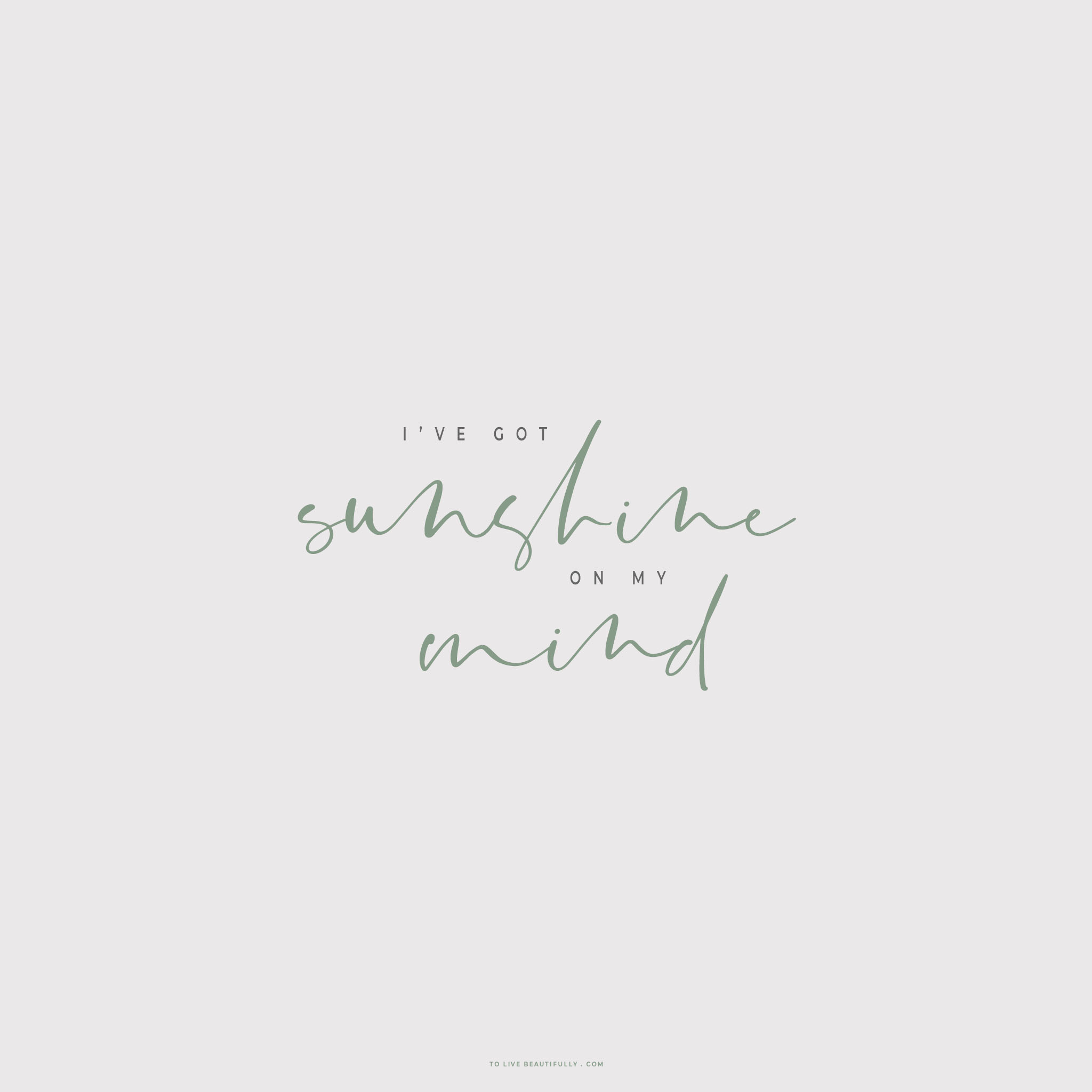 school英文单词遐想影象(附生词句子扩展)_Bsports必一体育(图2) b体育