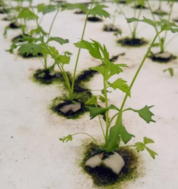 2016年北京化工大学录取分数线:必一(图1) Bsports必一体育